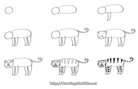 Как нарисовать тигра карандашом поэтапно для начинающих.