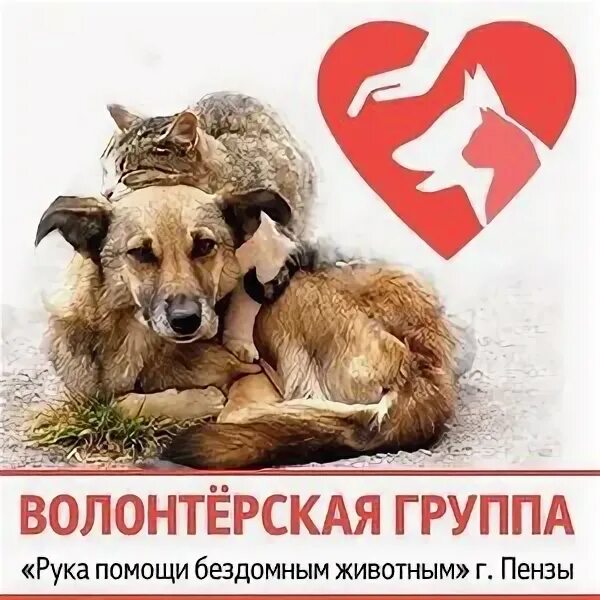 Рука помощи бездомным животным. Лапа собаки и рука человека. Рука и лапа собаки. Лучше маленькая помощь чем большое сочувствие. Символ любви к животным.