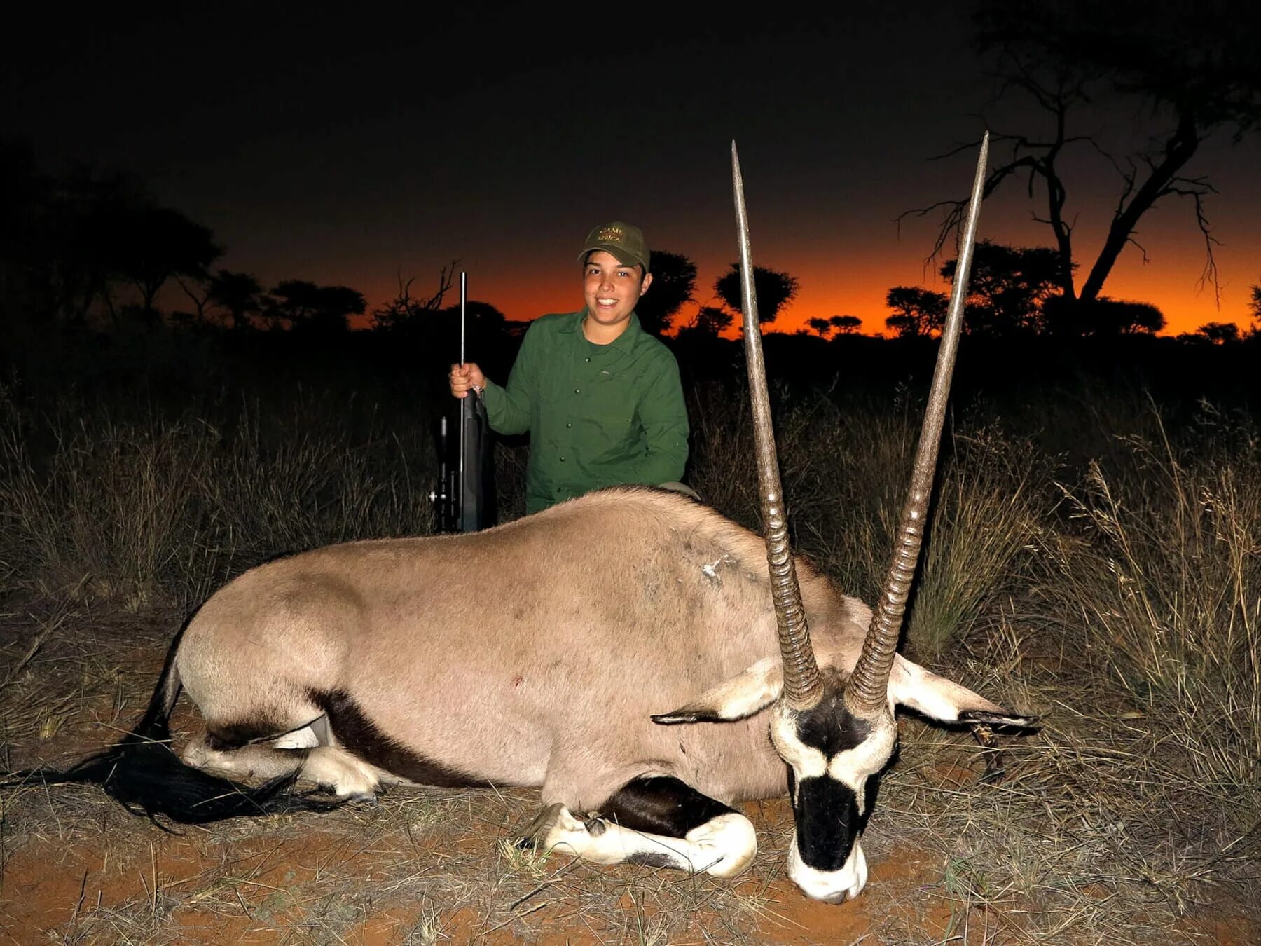 Сернобык (орикс). Сернобык 5. Белый аравийский орикс. Саблерогая антилопа орикс. Орикс козёл.