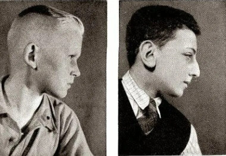 Расово неполноценные. Ариец мем. Саксонский нордид. Представители нордической расы. Плакаты против расового смешения.