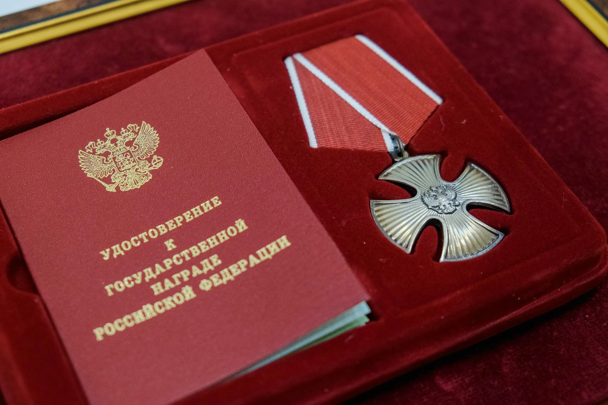 За мужество и героизм. За высокий профессионализм и проявленное мужество. Высокого профессионализма и мужества. Орден мужества посмертно. Высокого профессионализма и мужества.