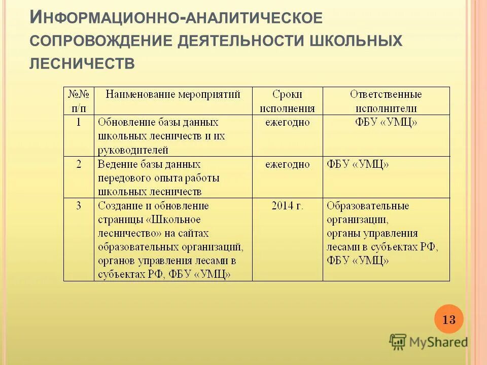 Информационно аналитическое сопровождение