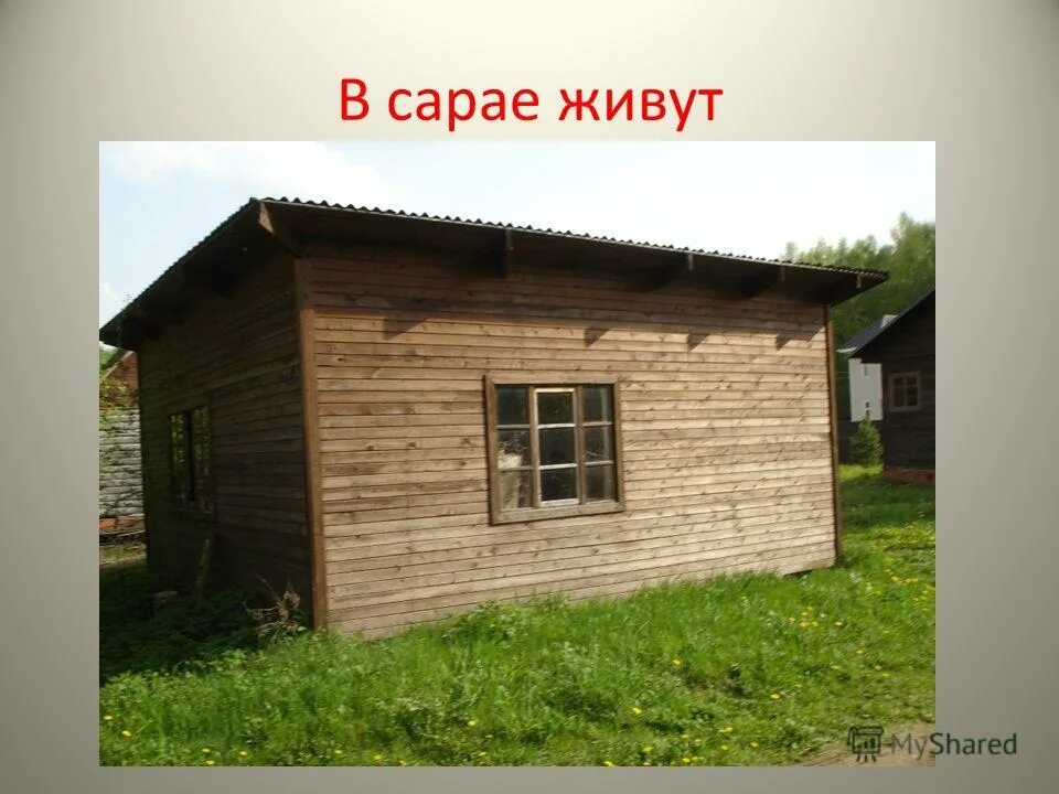 кто живет в сарае. ю. кто живет в сарае. люди в сарае. хлев для овец овчарня.