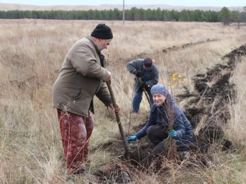 Алтайский край Краснощековский район село Березовка. Карпово второе Краснощековского района Алтайского края. Администрация Краснощековского района. Администрация Краснощековского района Алтайского края. Погода березовка красногорский