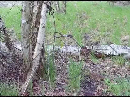 Петля на бобра видео