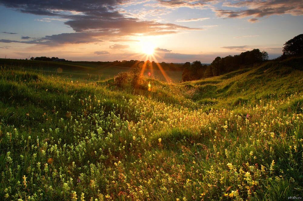 Фото это. Блаженство природа. Наш прекрасный мир. Божья красота природы. Красивая природа жизнь прекрасна.