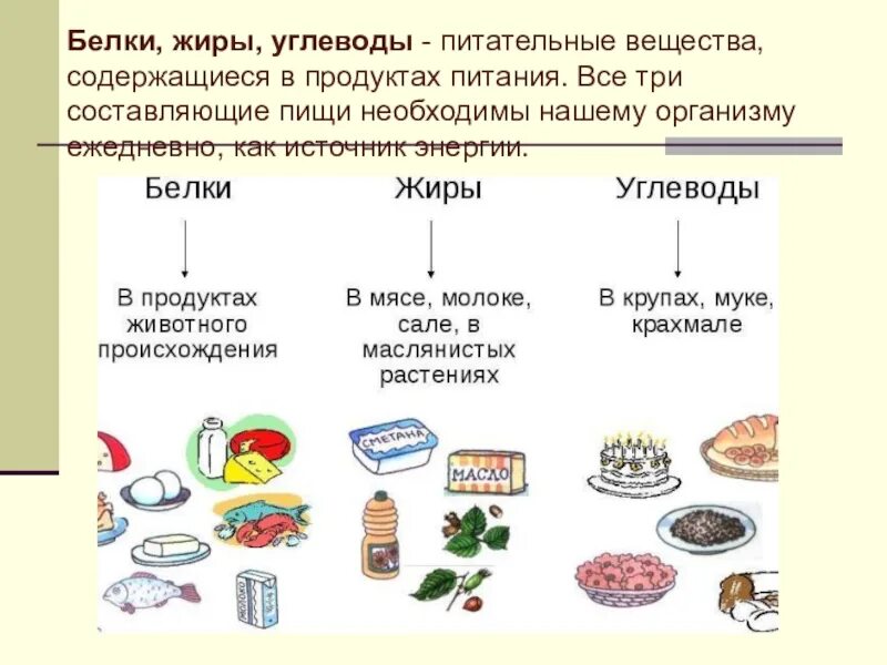 Соединение белков жиров и углеводов. Питательные вещества белки жиры углеводы схема. описание продуктов белки жиры углеводы. классификация продуктов жиры белки и углеводы. источники белков жиров и углеводов в пище.