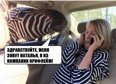 Здравствуйте женившись