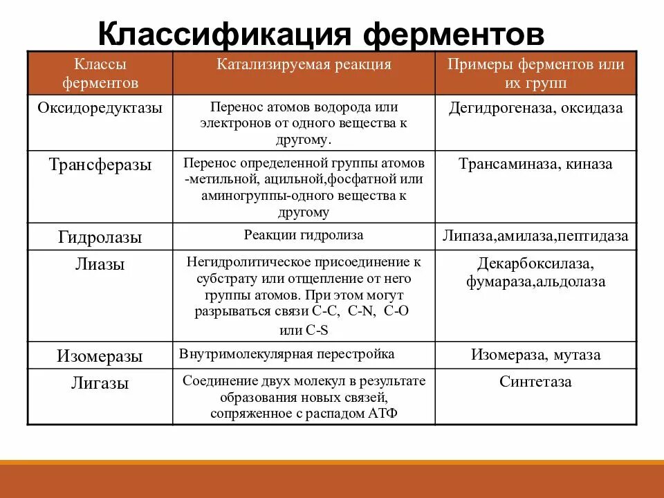 1 класс ферментов. Классификация ферментов. Механизм действия ферментов.. 3. Классификация ферментов. Современная классификация ферментов биохимия. Классы ферментов и функции.