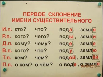 Яблоня просклонять