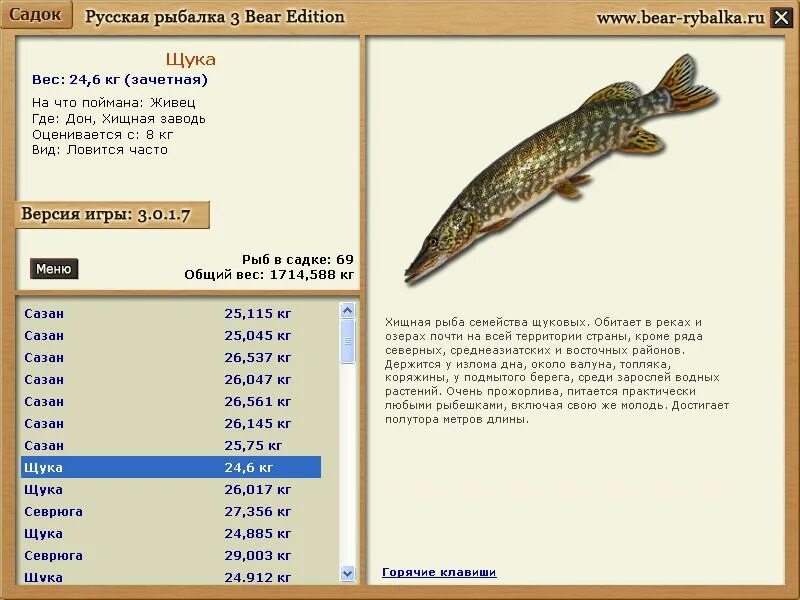 Как поймать в игре русская рыбалка. Щука русская рыбалка 3. Русская рыбалка налим. Вес и Возраст налима. Русская рыбалка 3 рыбы.