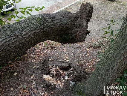 Сонник упавшее