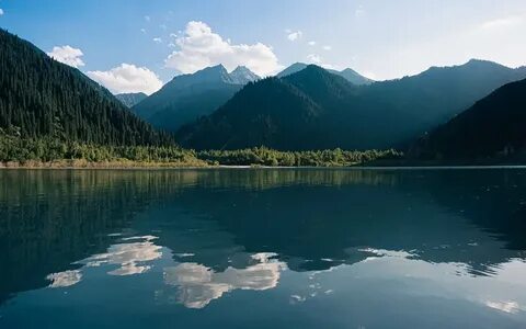 Толық метражды транни порносын онлайн көру