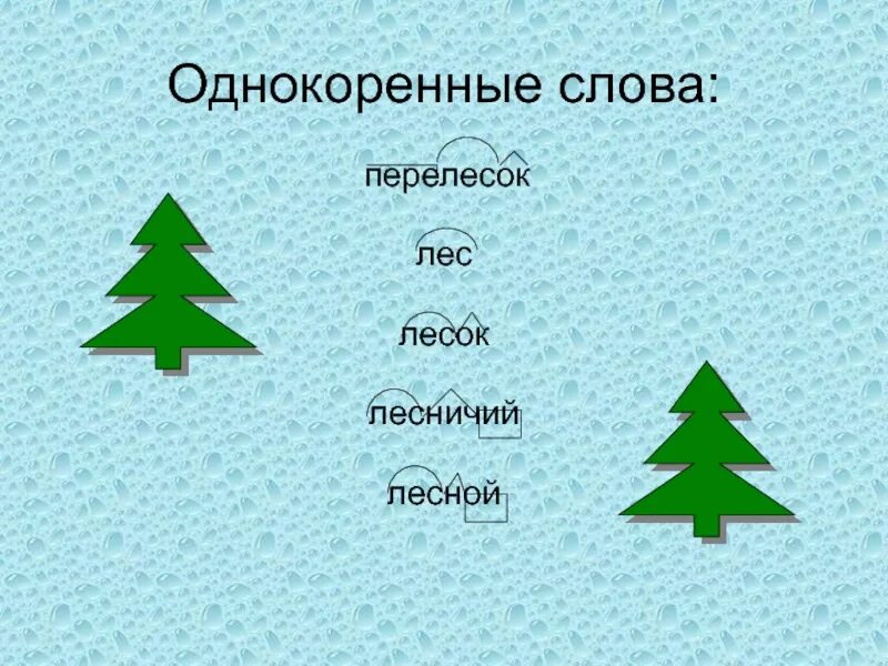 Перелесок суффикс. Однокоренные слова к слову лес. ЛКС однокоренные слова. Лес однокоренные слова подобрать. Родственные слова к слову лес.