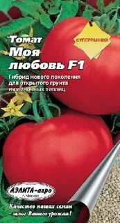 Томат моя любовь