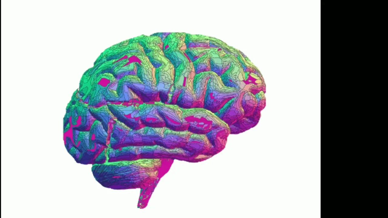 Brain h. Полушария мозга. Мозг гиф. Мозг арт. Полушария мозга на прозрачном фоне.