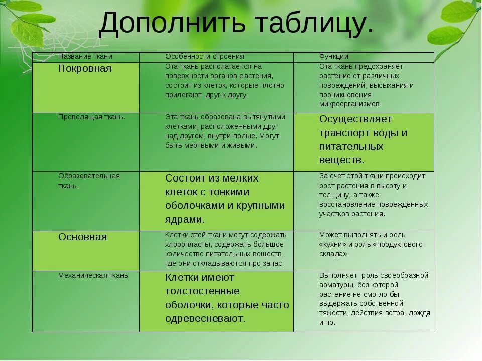 Ткани название строение функции. Таблица ткани растений 6 класс биология и их функции. Функции тканей растений 5 класс биология таблица. Функция образовательной ткани у растений 6 класс биология. Биология 6 кл таблица о ткани растений.