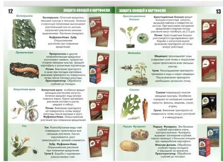 Зеленая аптека садовода - ДНП Старая Мельница
