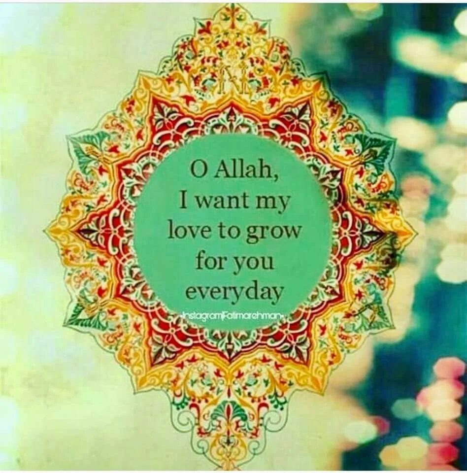 Любовь всевышний. Любовь к Аллаhу. Красивые мусульманские цитаты.