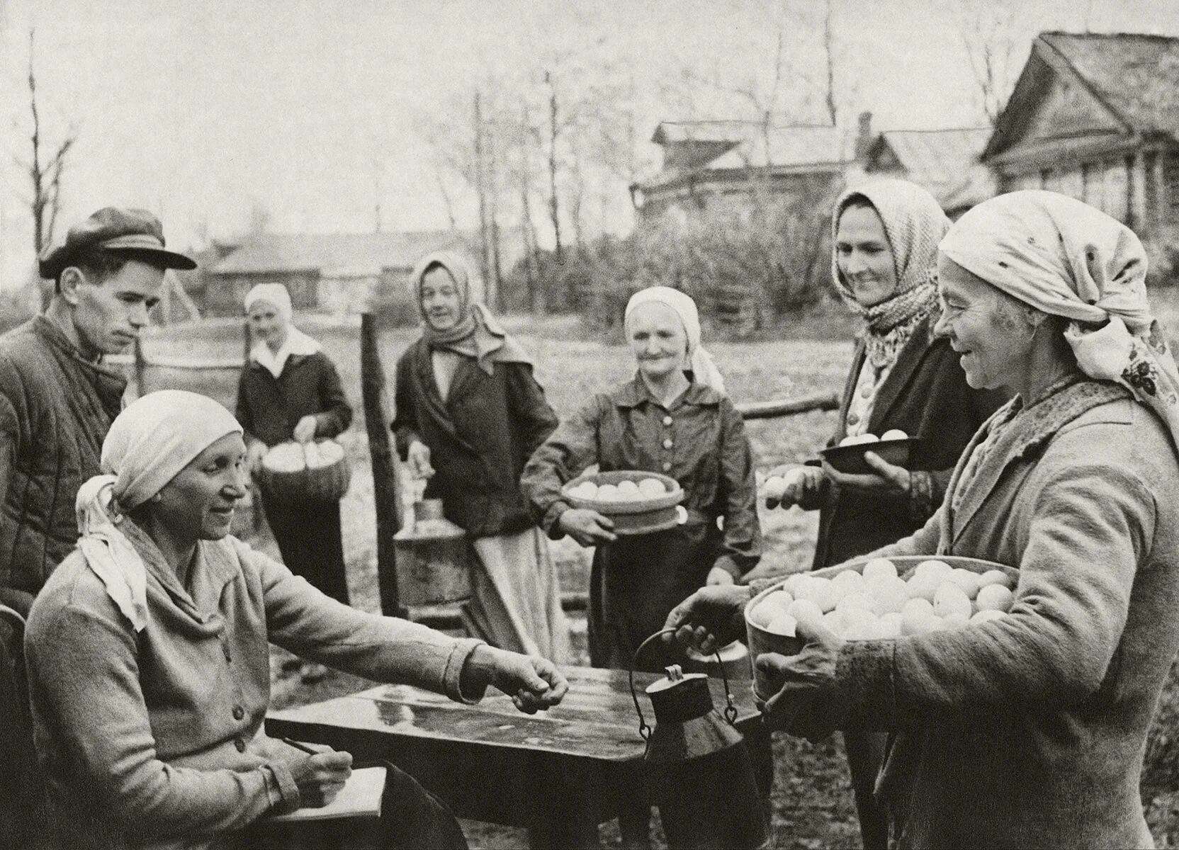Трудовая жизнь