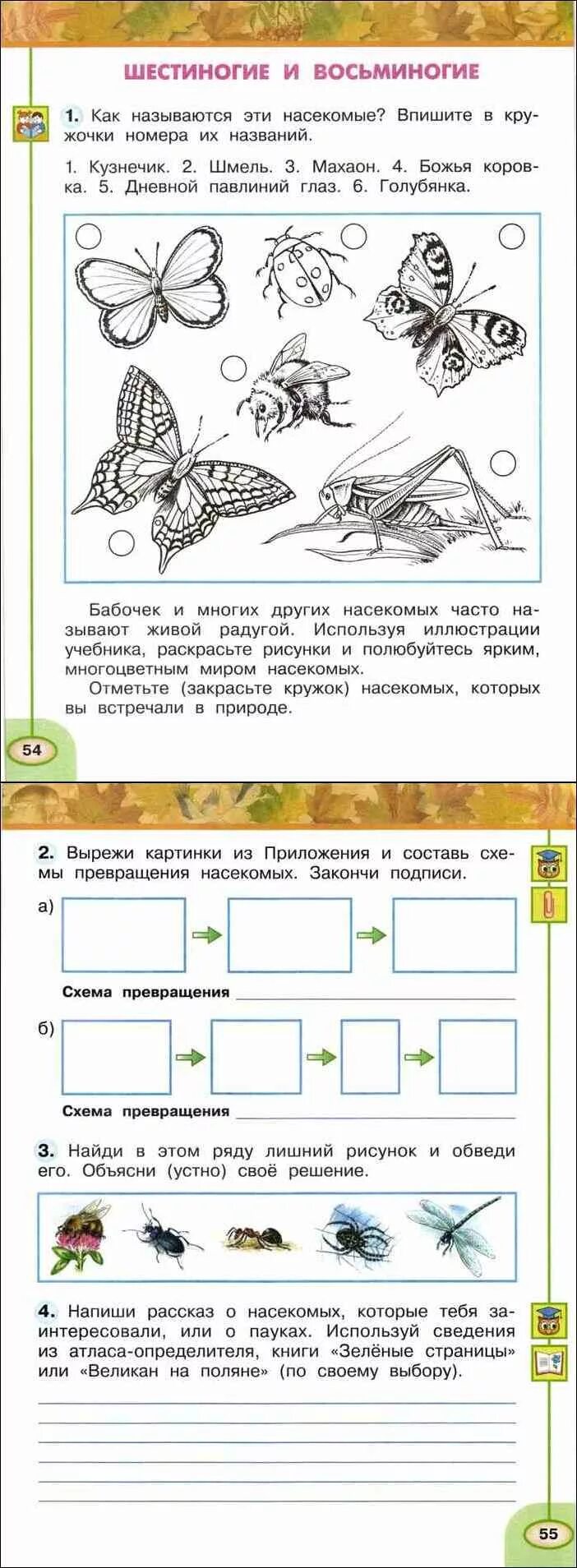 Перспектива окр мир рабочая тетрадь. Шестиногие и восьминогие 2 класс перспектива рабочая тетрадь. Рабочая тетрадь 1 часть 1 класс Плешаков насекомые. Окружающий мир 2 класс рабочая тетрадь Плешаков насекомые. Окружающий мир 2 класс рабочая тетрадь Плешаков Новицкая.