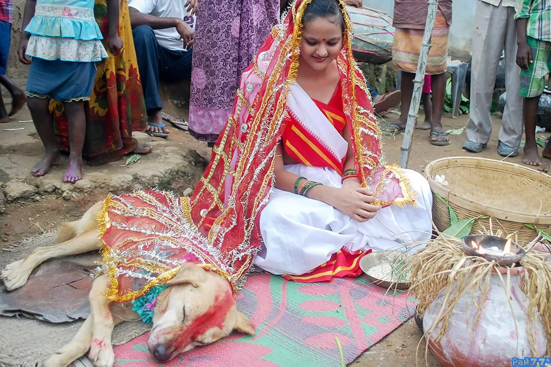 Dipaksa
