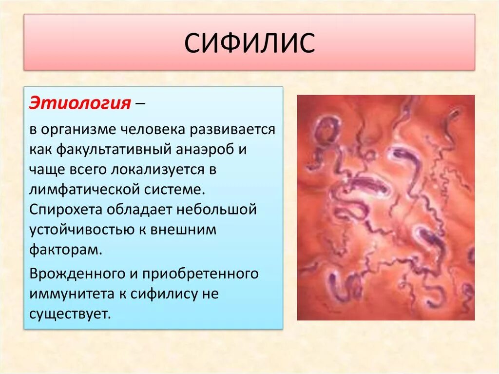 Сифилис внешние проявления. Сифилис локализация в организме. Sefiliz. Внешние симптомы сифилиса. Этиология сыпей