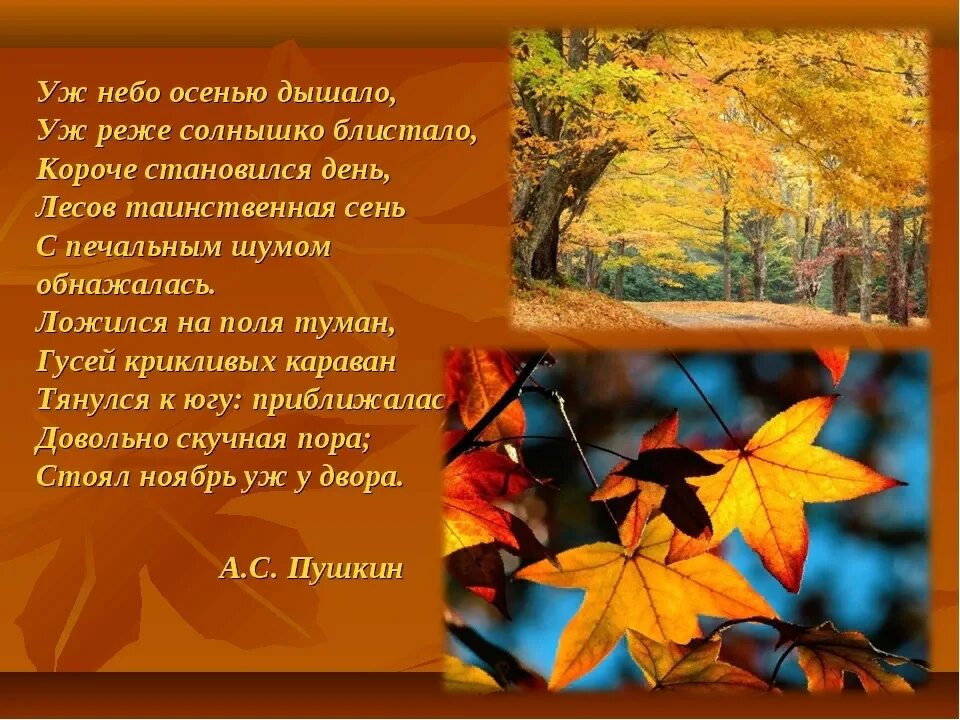 Пушкин стих уж небо осенью. Стихотворение про осень. Четверостишье про осень. Стих на тему осень. Уж небо осенью дышало.