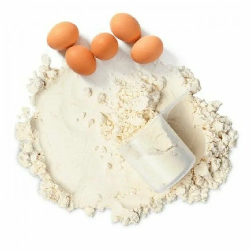 протеин яичный белок. альбумин сухой яичный белок. яичный белок сухой. яичный белок порошок. яичный протеин.