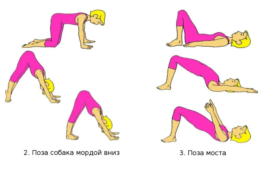 Упражнение поза собаки. Упражнение собака мордой вниз. Йога поза собаки мордой вниз. Собака мордой вниз упражнени.