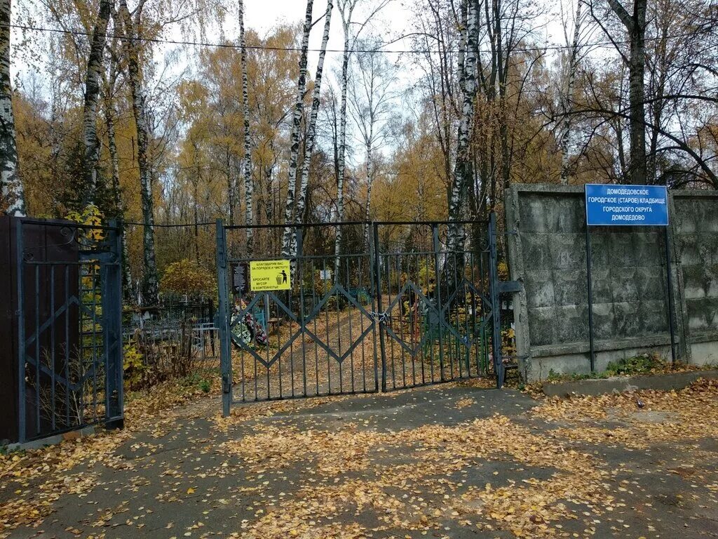 Заболотьевское кладбище памятники. Городское кладбище Домодедово. Домодедовское городское кладбище, Домодедово. Домодедово кладбище Заболотьевское. Домодедово старое городское кладбище.