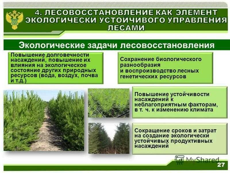 Анализ экологических проблем природных ресурсов