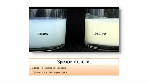 Молозиво что это такое