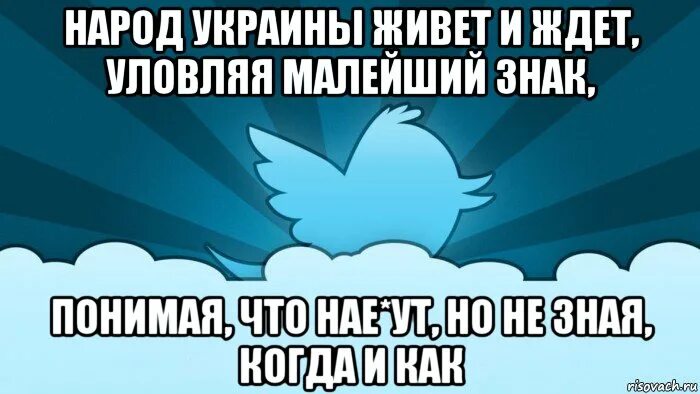 Twitter meme. Мемы с твиттера. Twitter Мем. Россияне живут и ждут уловляя. Твиты мемы.