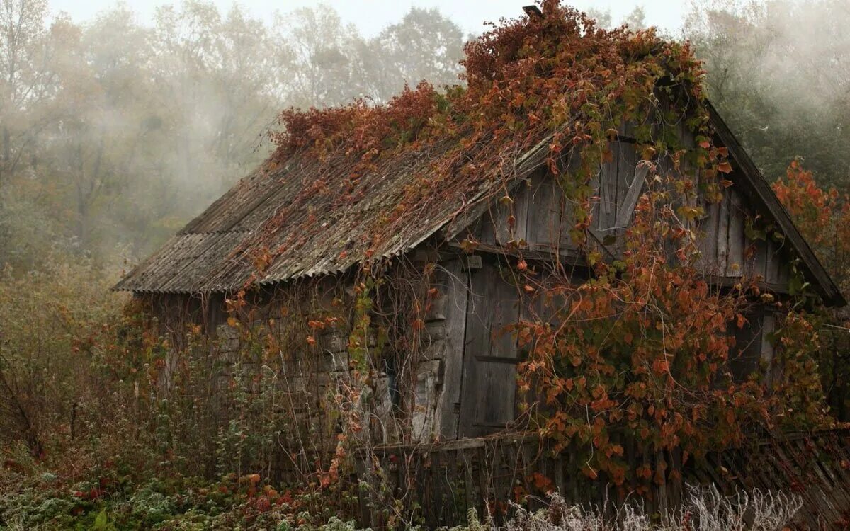 Старый домик стоял на самом