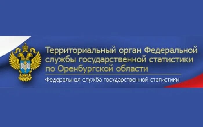 Государственные услуги оренбургской области. Федеральная служба государственной статистики. Территориальный орган Федеральной службы государственной.... Территориальные органы федеральных служб. Росстат Оренбургская область.