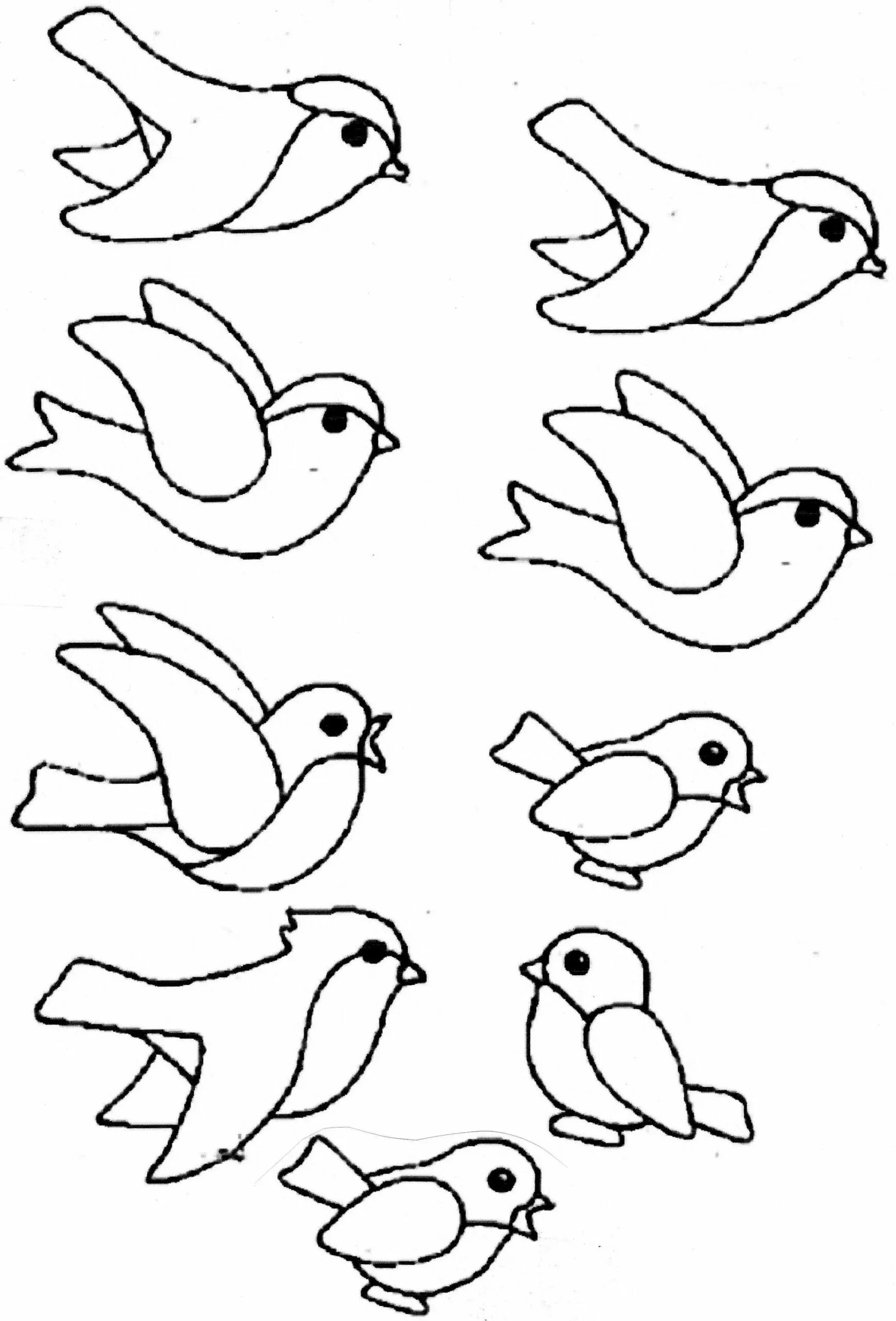 Птичка рисунок. Птичка раскраска. Шаблон птицы для рисования. Рисование птички.