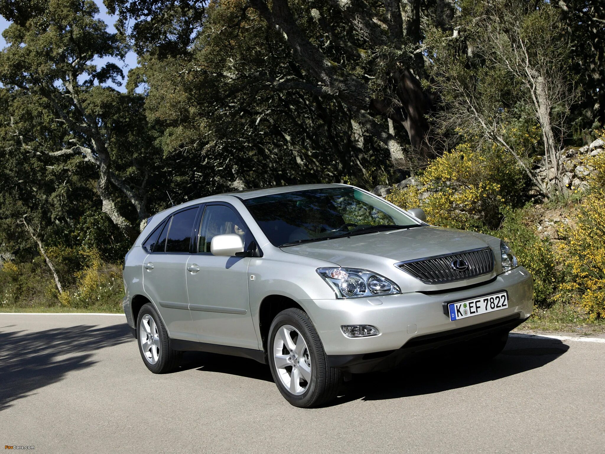 Lexus rx 2003. Лексус rx300 2003. Lexus RX 2003-2008. Лексус rx300 2008.