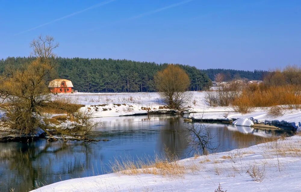 Сейм Курск. Прямицыно зимой Курская область природа. База Сейм Курский район. Зимний Сейм.