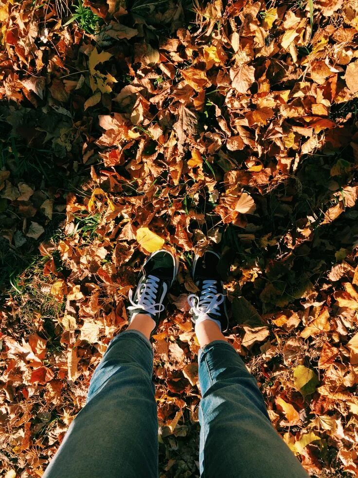 Pin on ☆ Autumn vibes Fall pictures, Fall colors, Instagram