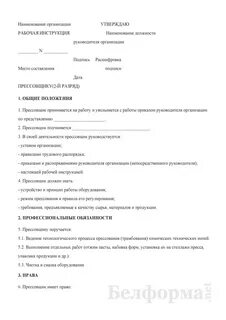Форма рабочей инструкции