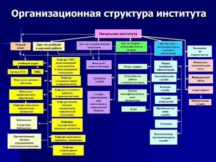 Организационная система института это