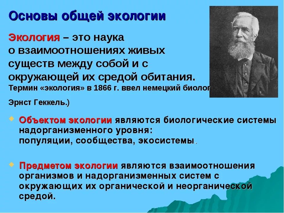 Взаимодействие экологии и философии. Основы экологии. Основы общей экологии. Общая экология. Основы общей экологии кратко.