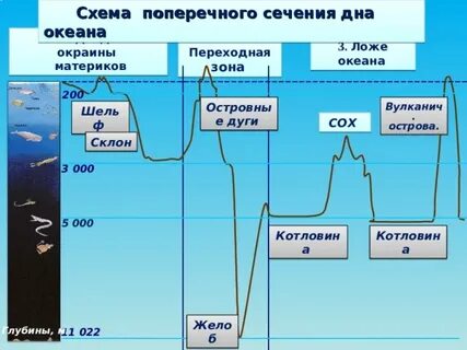 Схема океанов