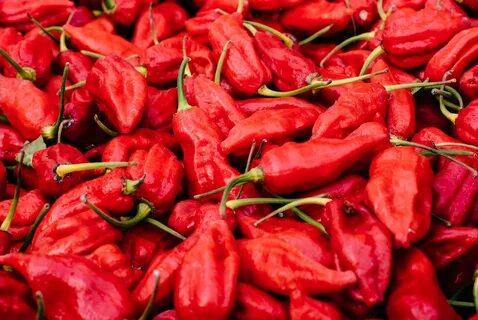Pepper видео