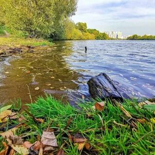 Красногорская 23