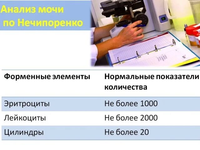 Нормы Нечипоренко в моче. Моча по Нечипоренко норма. Исследование мочи по Нечипоренко норма. Анализ по Нечипоренко норма.