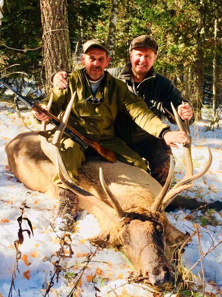 Алтайский охотничий