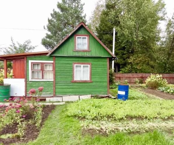 Снт химик сергиев посад. Снт химик 2 лес. Хими2 щелканка переславль снт. Снт химик-2 егорьевского района. Снт химик перхурово.