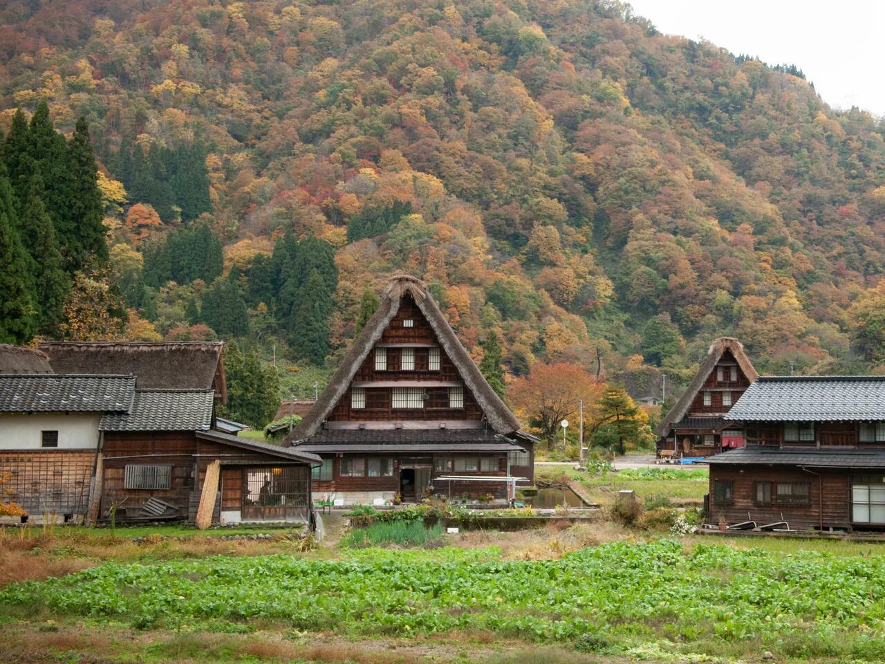 Japanese village. Гассё-дзукури. Гассё-дзукури в Японии. Гассё-дзукури японский дом. Вальмовой— ёсэмунэ-дзукури.